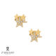 گوشواره میخی طلا ستاره نگین دار