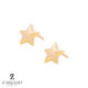 گوشواره میخی طلا طرح ستاره