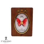 پلاک طلا پروانه پارچه ای قرمز گوجه ای کد P17304