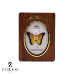 پلاک طلا پروانه پارچه ای سرمه ای زرد کد P17343