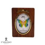 پلاک طلا پروانه پارچه ای رنگین کمونی کد P17352