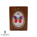 پلاک طلا پروانه پارچه ای هفت رنگ کد P17390