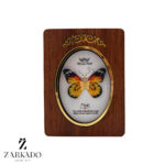 پلاک طلا پروانه پارچه ای زرد خط مشکی کد P17265