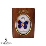 پلاک طلا پروانه پارچه ای آبی کاربنی کد P17395