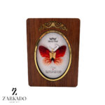 پلاک طلا پروانه پارچه ای نارنجی خطدار کد P17408