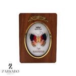 پلاک طلا پروانه پارچه ای رنگی خالدار کد P17260